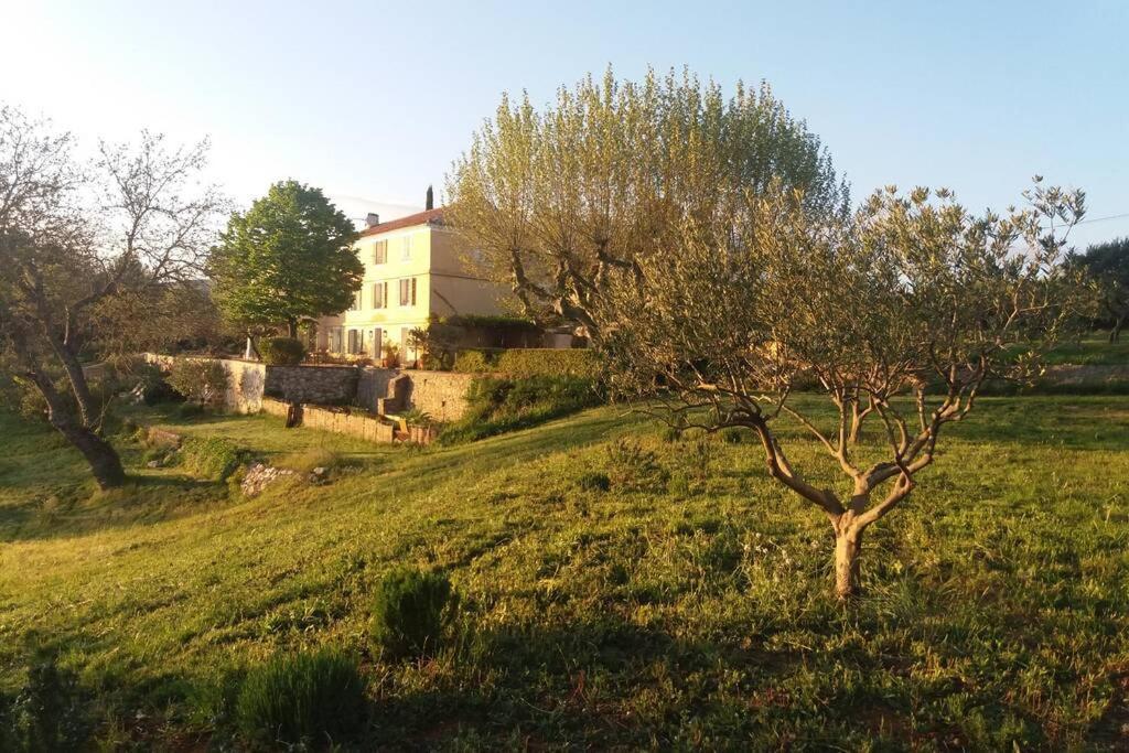 Bastide Au Milieu Des Vignes Et Des Oliviers Aups 빌라 외부 사진