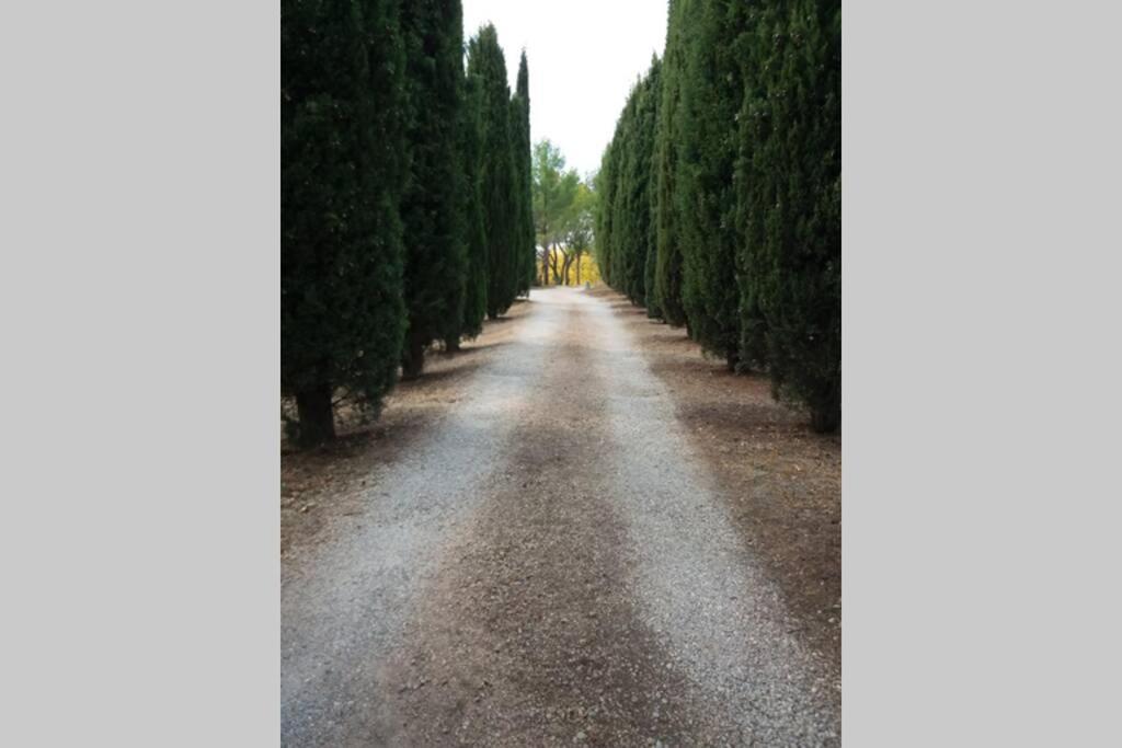 Bastide Au Milieu Des Vignes Et Des Oliviers Aups 빌라 외부 사진