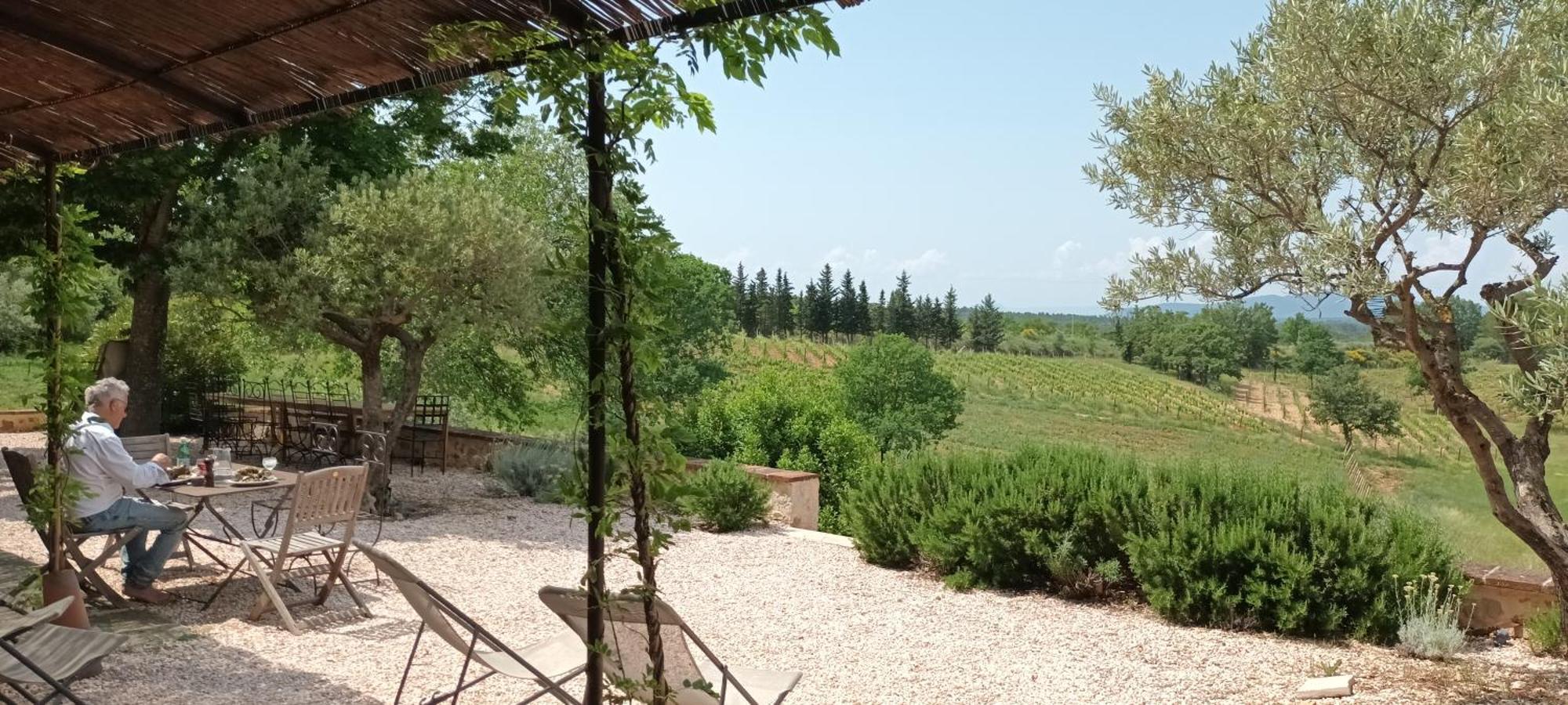 Bastide Au Milieu Des Vignes Et Des Oliviers Aups 빌라 외부 사진