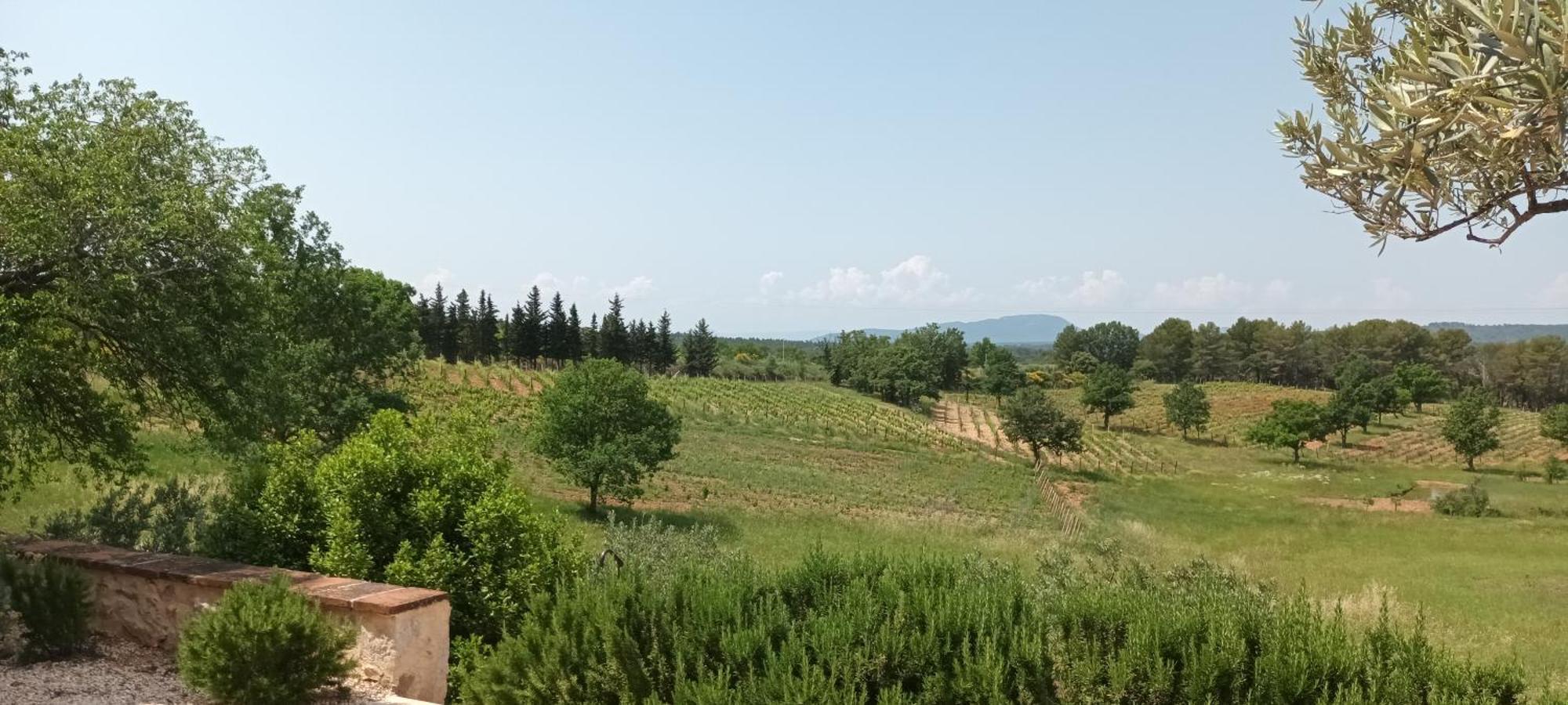 Bastide Au Milieu Des Vignes Et Des Oliviers Aups 빌라 외부 사진
